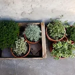 Il Vecchio Comune