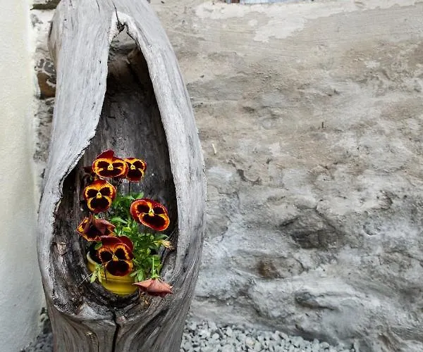 Il Vecchio Comune Διαμέρισμα Santa Sofia