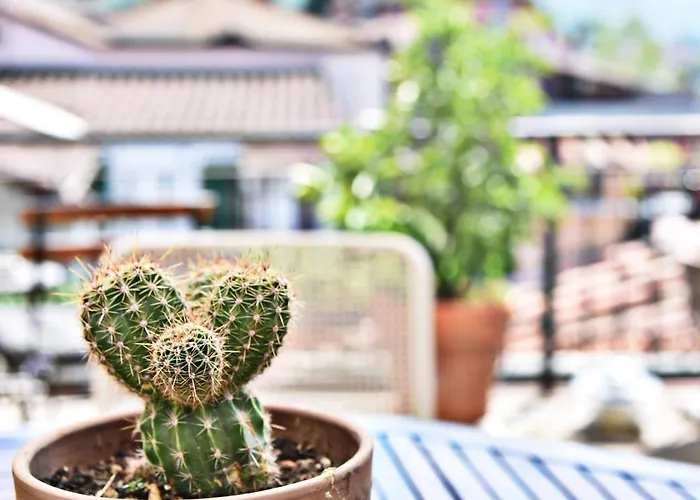 Il Vecchio Comune 公寓 *