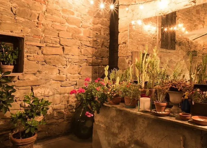 Il Vecchio Comune 圣索菲亚